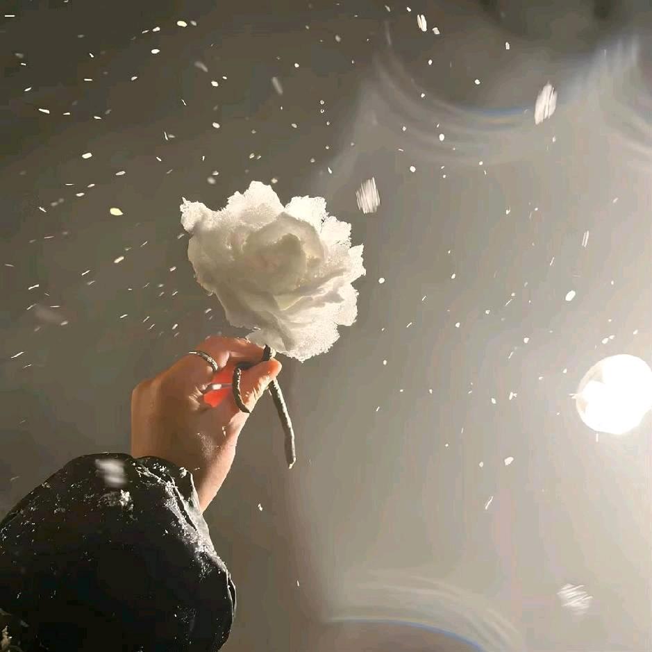荔枝的荔浦