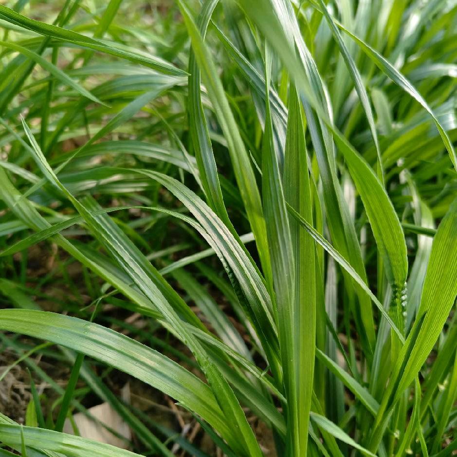 人生没有来世。相遇就缘分