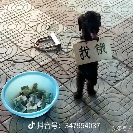 ૮₍♡ 锦爷♡₎ა