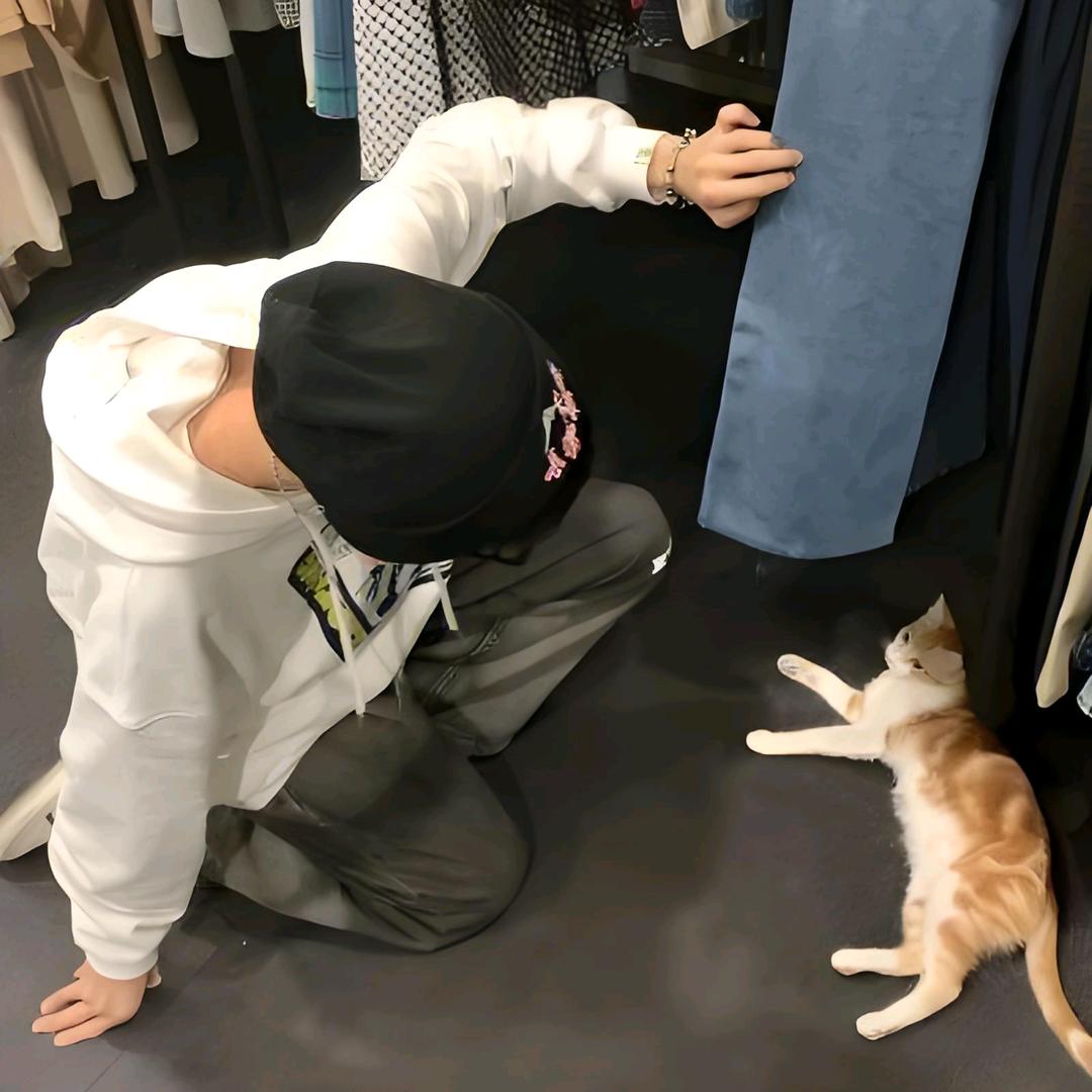 鲨鱼辣椒酱