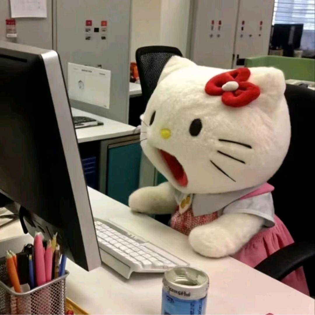 炸炸鱼小圆子