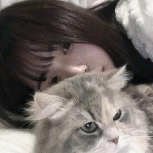 ( ˝ᗢ̈˝ )