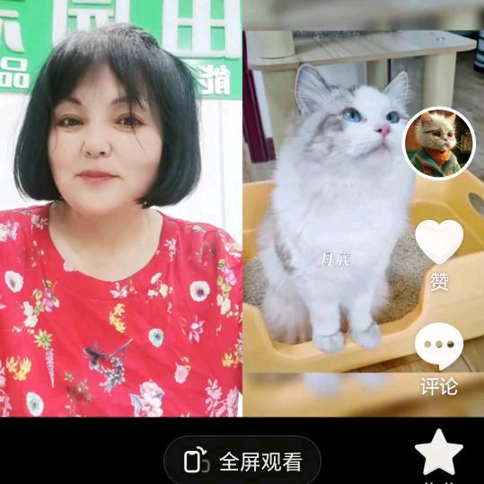 猫砂奶奶