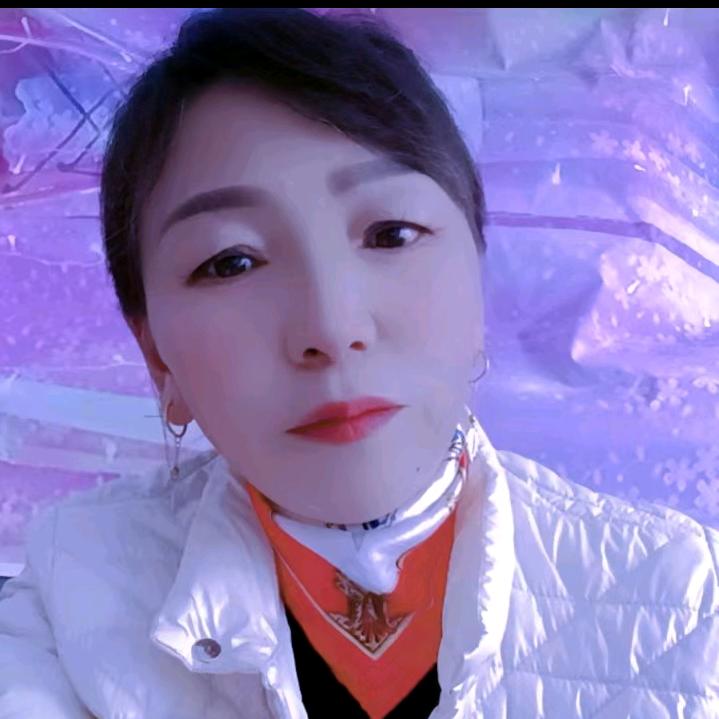 锦依
