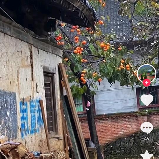 德明