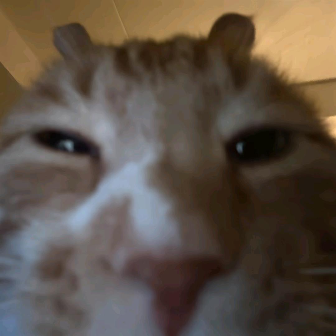 又是一天