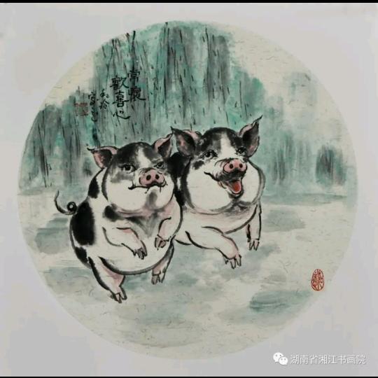 鸿酉三农～养猪户