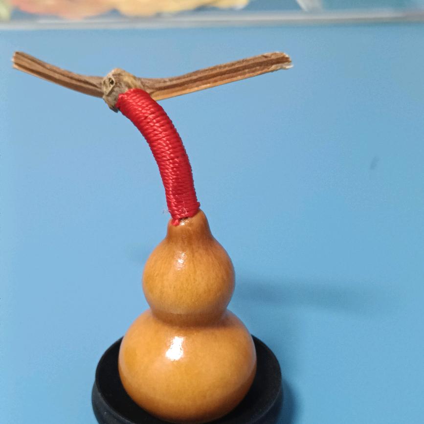 随心