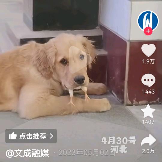 队长……是我！