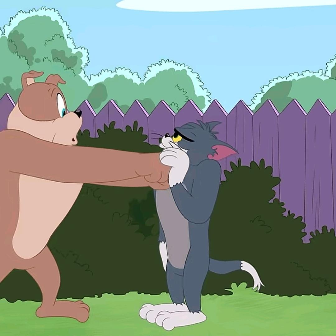 江南最后一盏星光