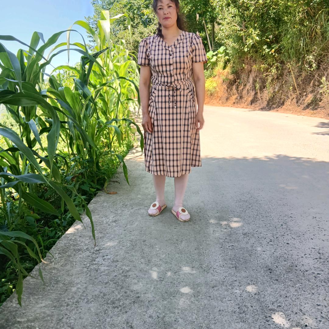 杨良书