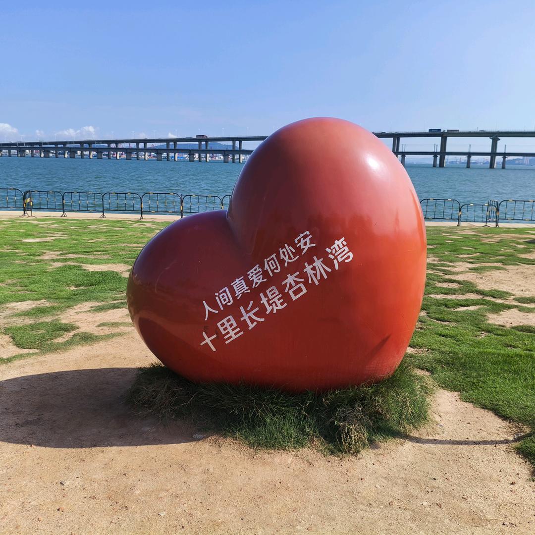 心有林犀