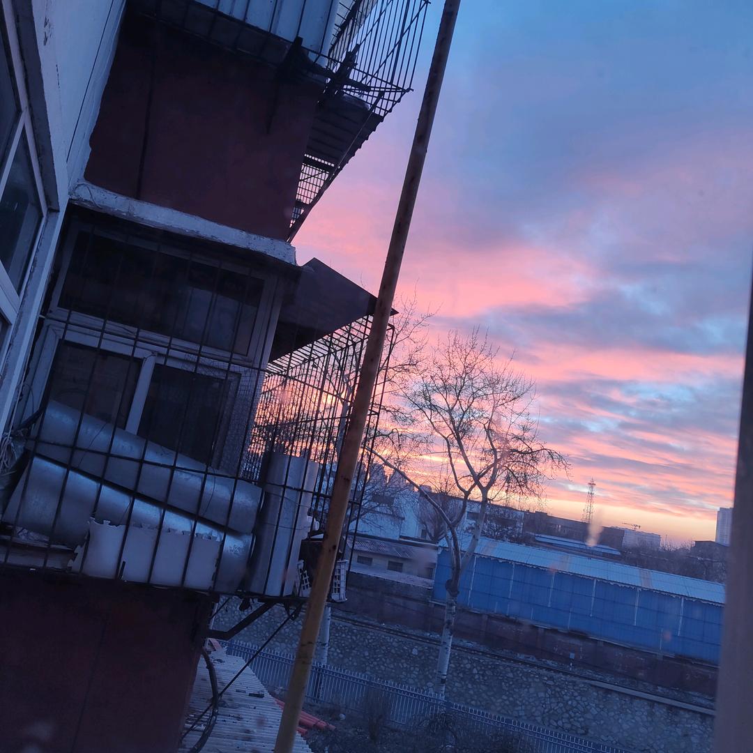 愿得偿所愿的宝