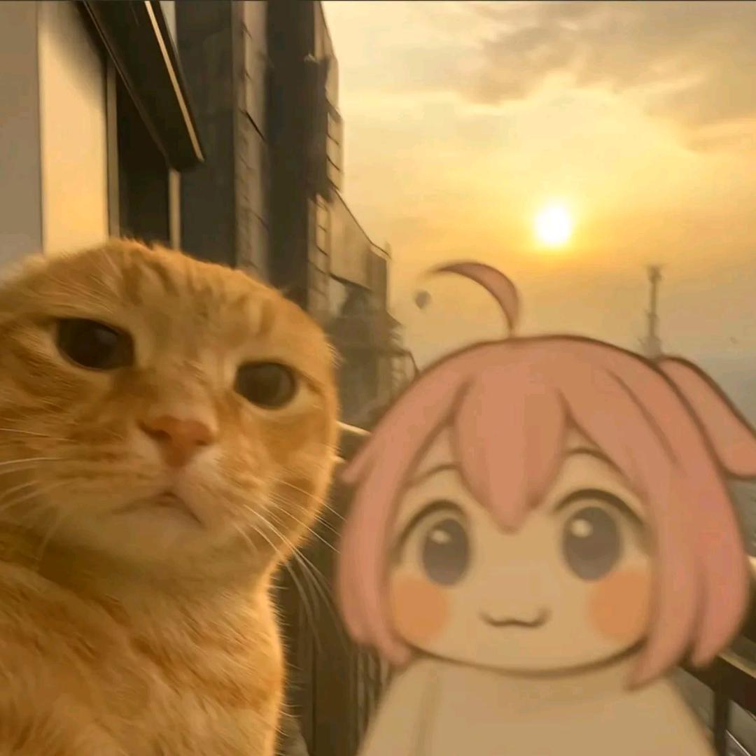 赵浩楠