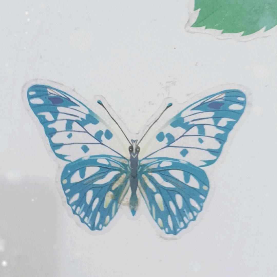 澳门🇲🇴杰哥