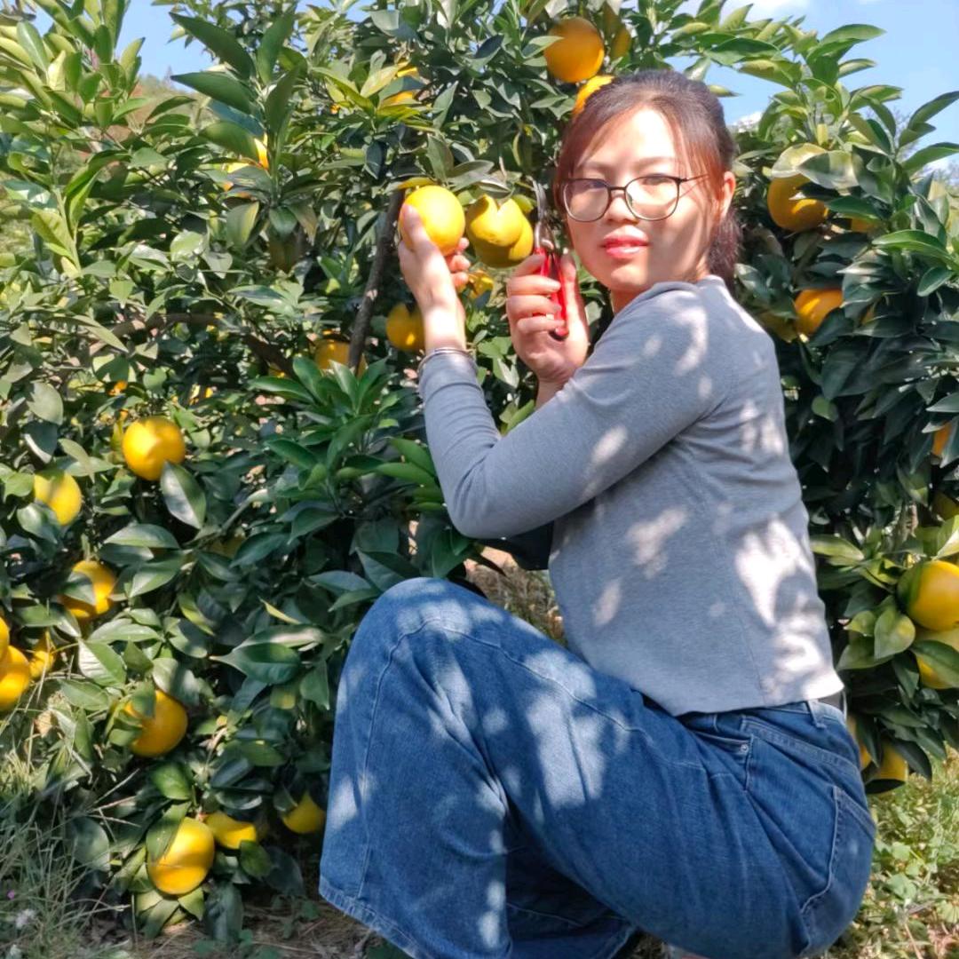 宁都长胜果子园优品小铺