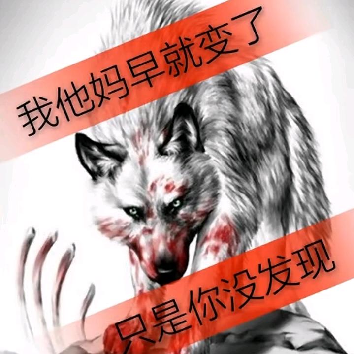 孤痞的狼