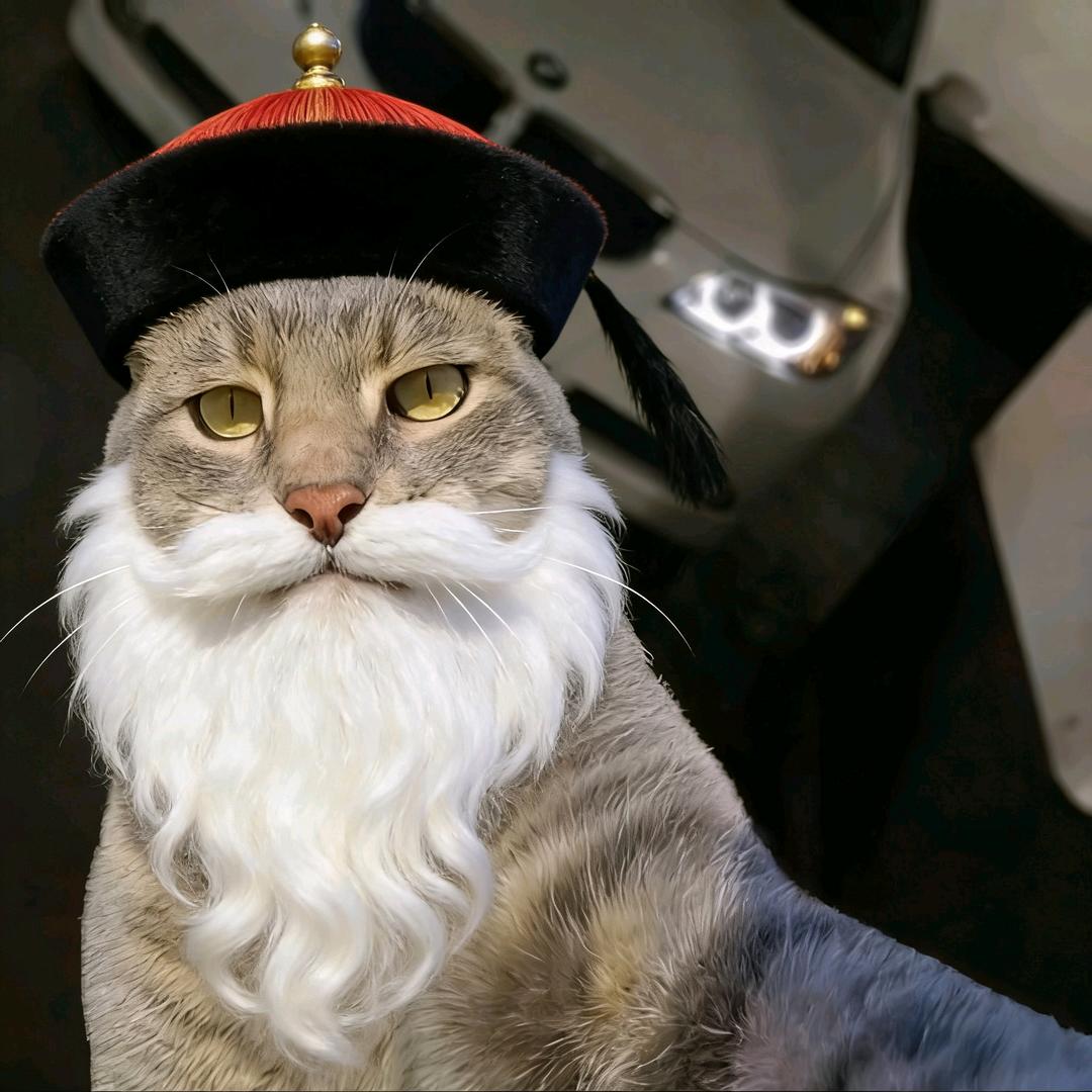 威胁八旬老奶坐大摆锤