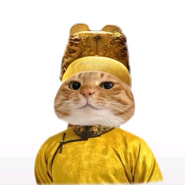 鱿鱼徐.