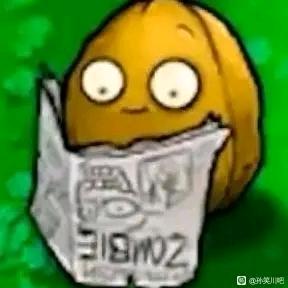 毛绒巨鲨