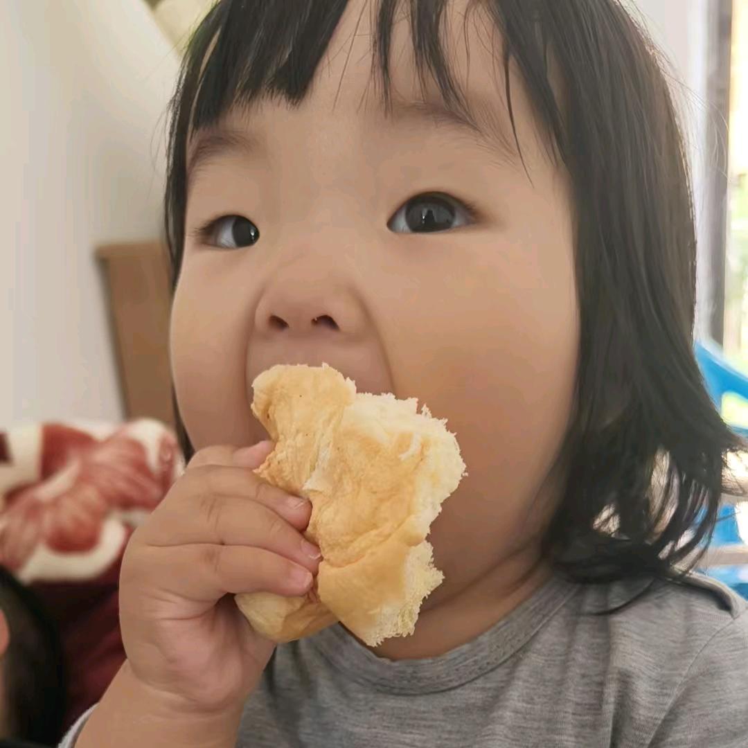 知其然，而不知