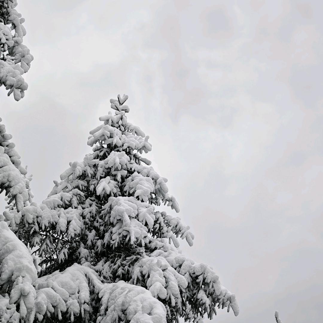我爱久久霸气