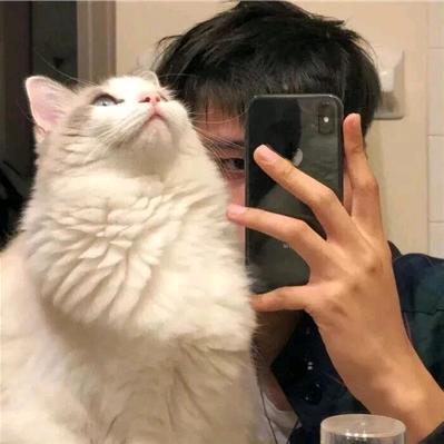 等你好久了