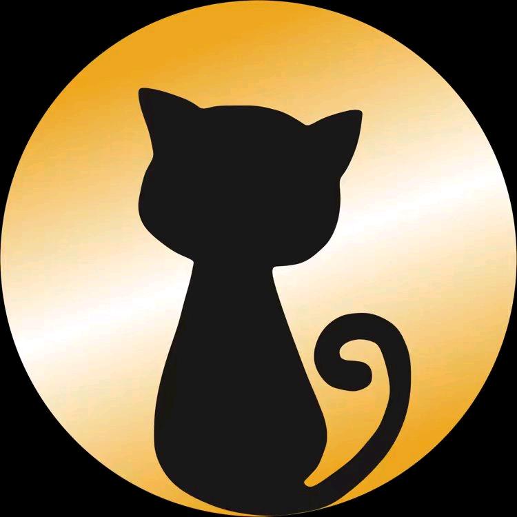 猫咪影视