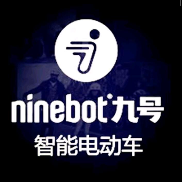 九号电动车滁州清流桥店