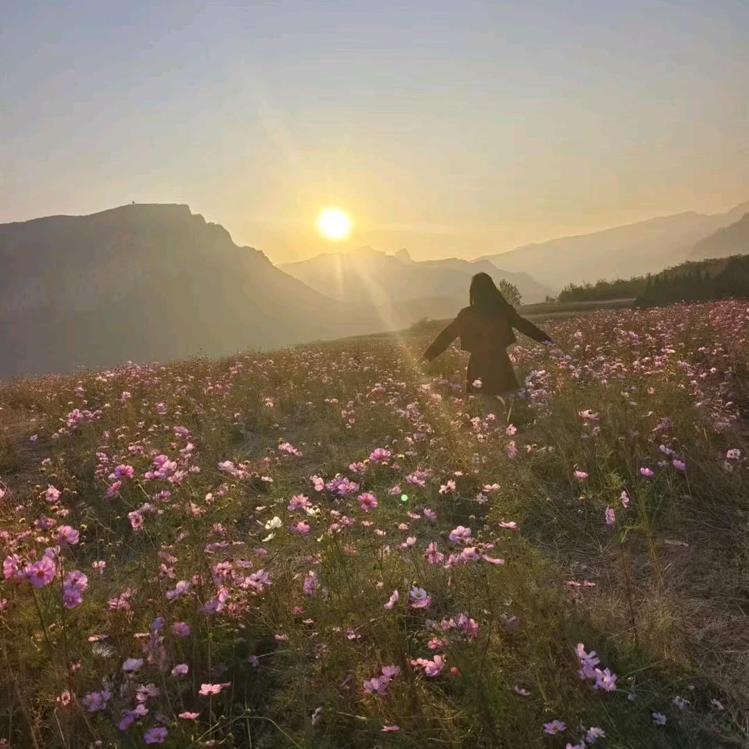 💕阿珊