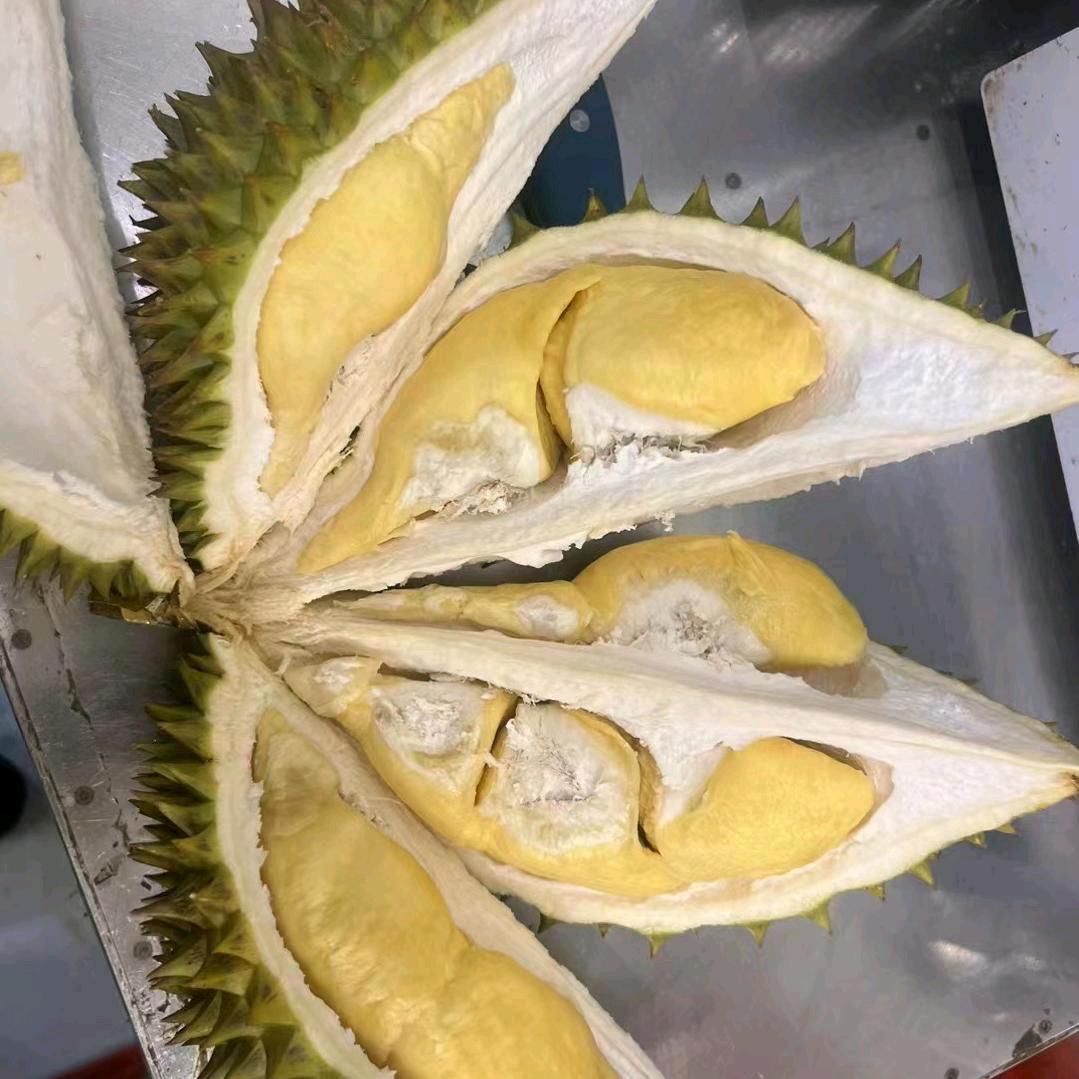 朱氏果业