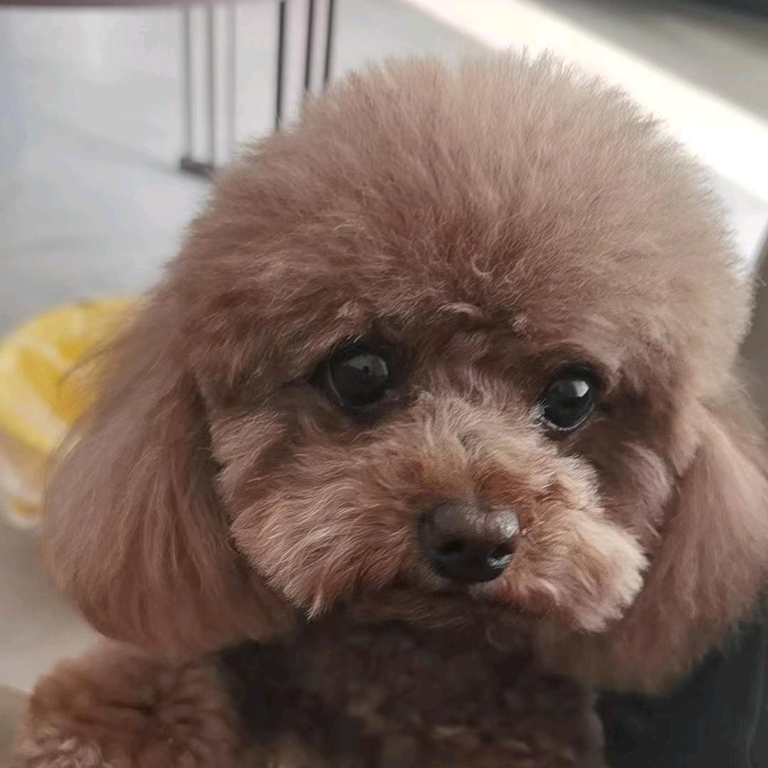 戒