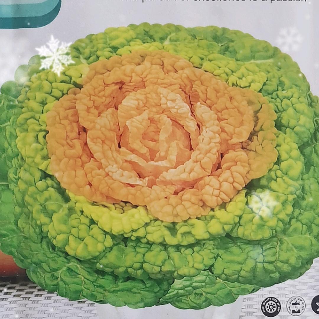 成哥菜籽个体店