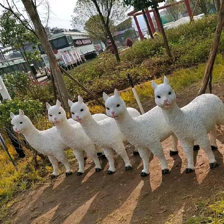 本人离异单身166