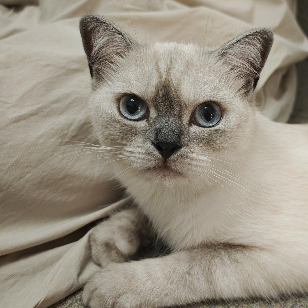 终不似，少年游