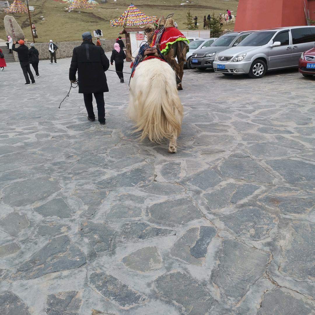 开心过好每一天