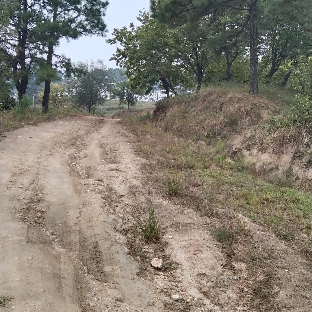 好人难当hezhaicun