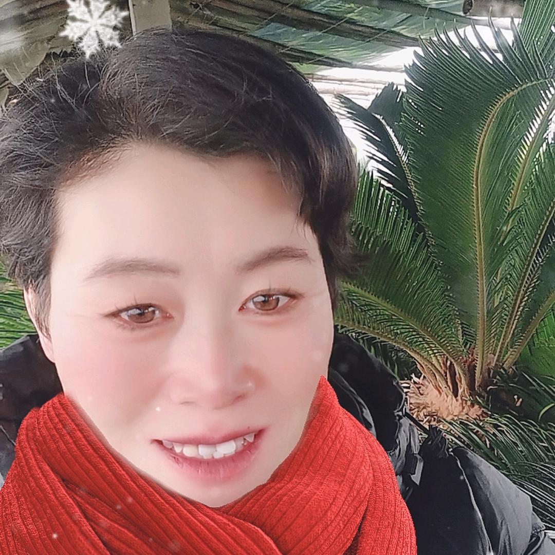 贵梅花卉店单县