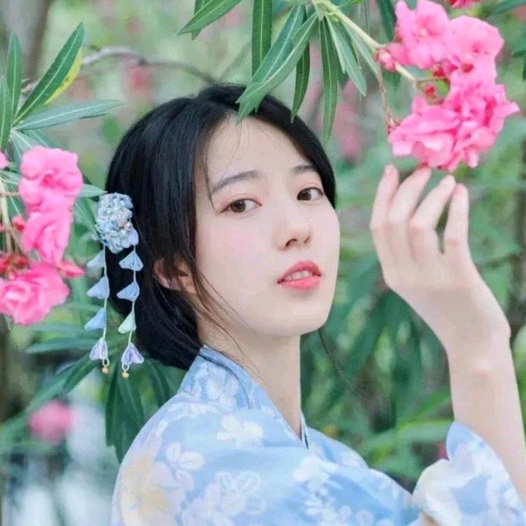 半梦 新视角
