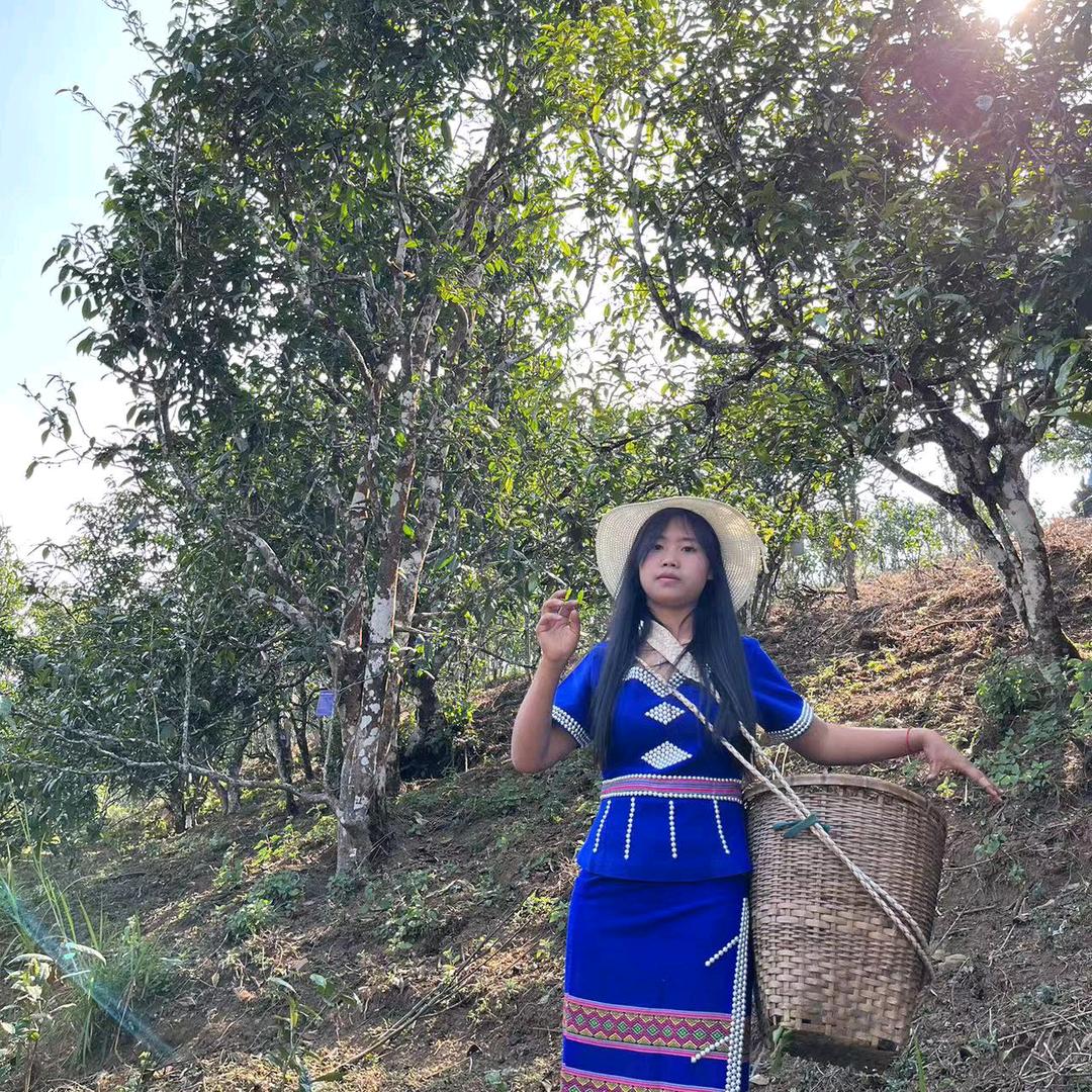 乡村助农边境古茶