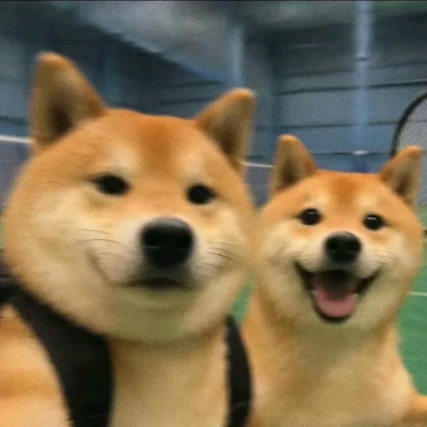 🌈未来