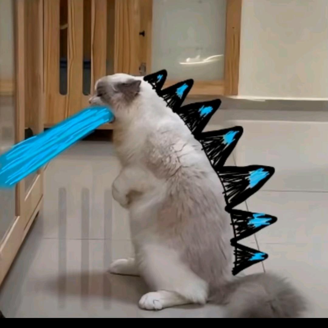 小小老子