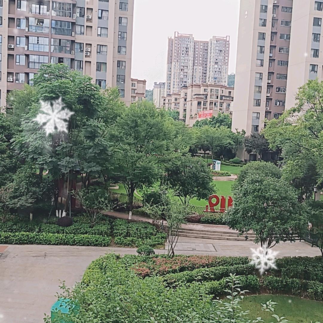 罗姐581