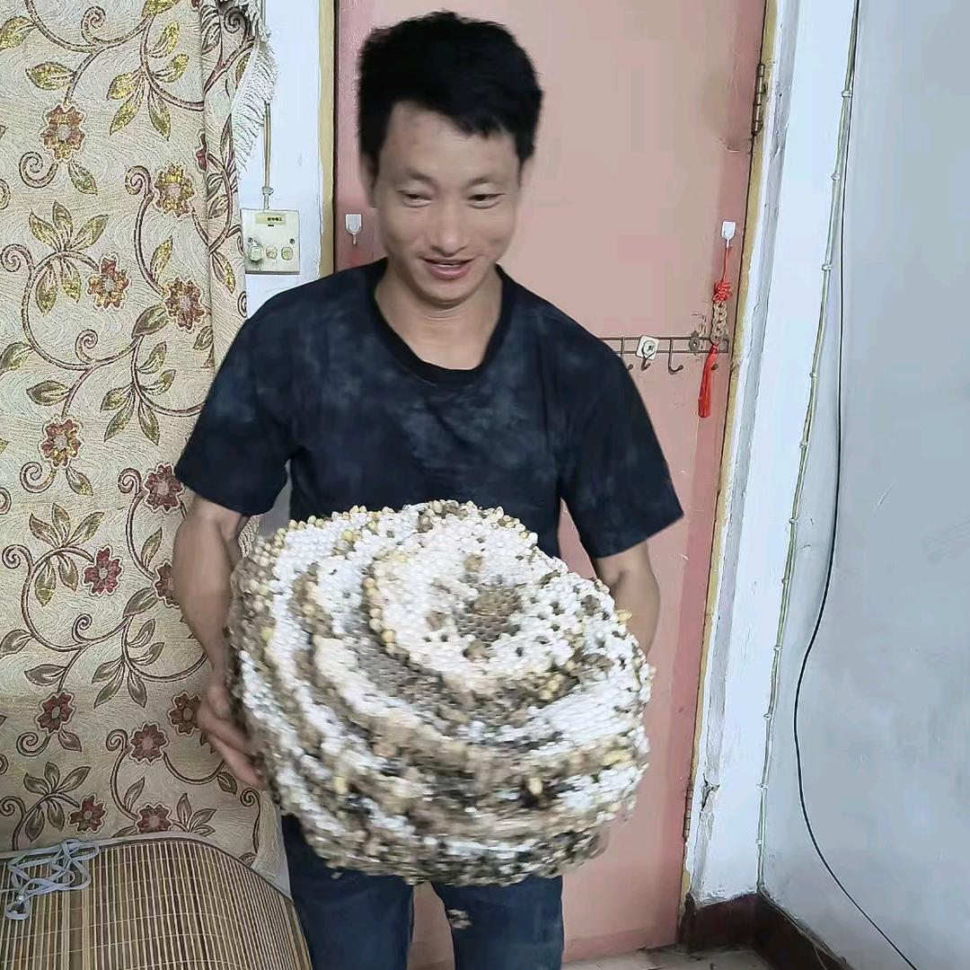 秒杀一抹晨光