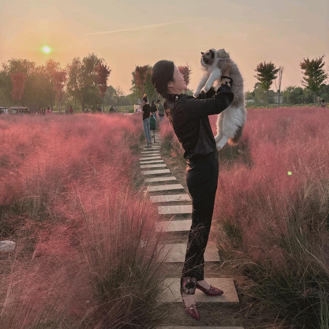 ᥫ᭡一抹暖阳𓍢ִ໋ ༘ ⋆˚🌷