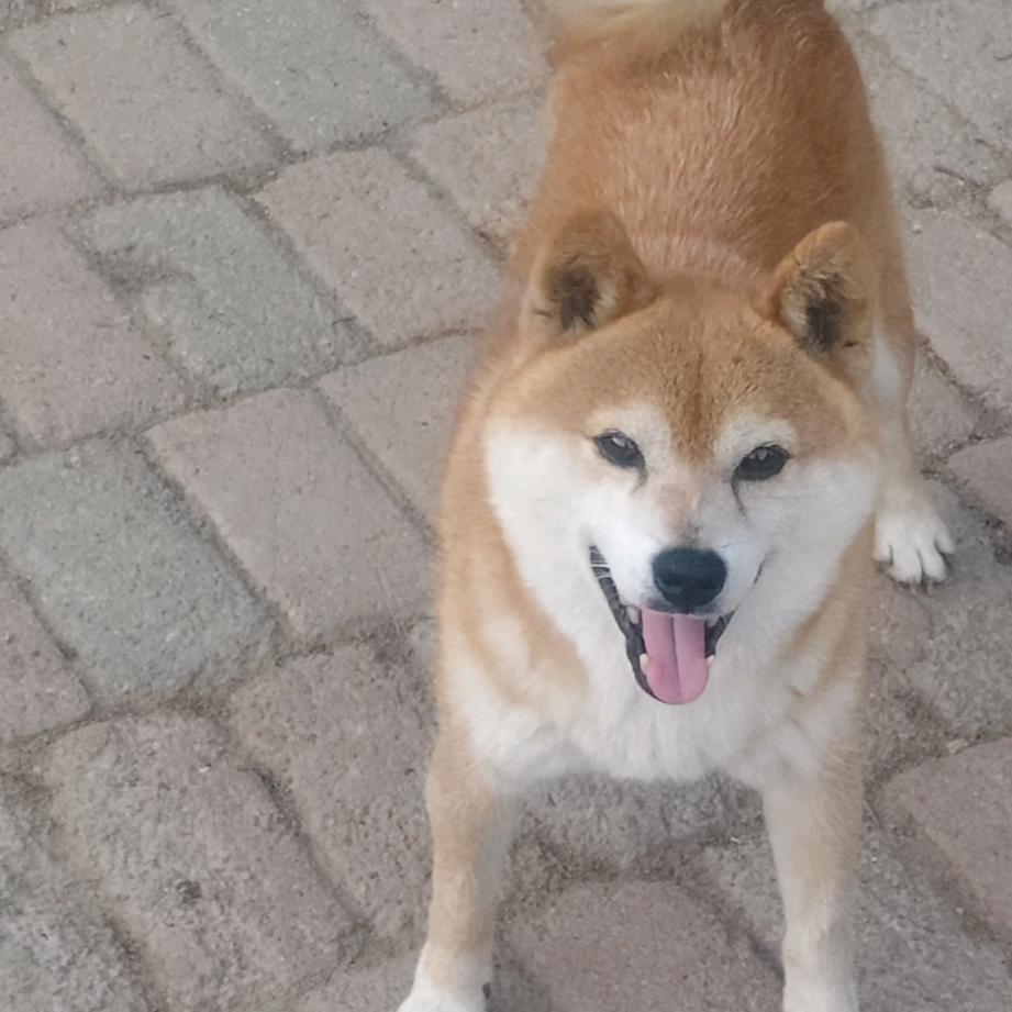 发财