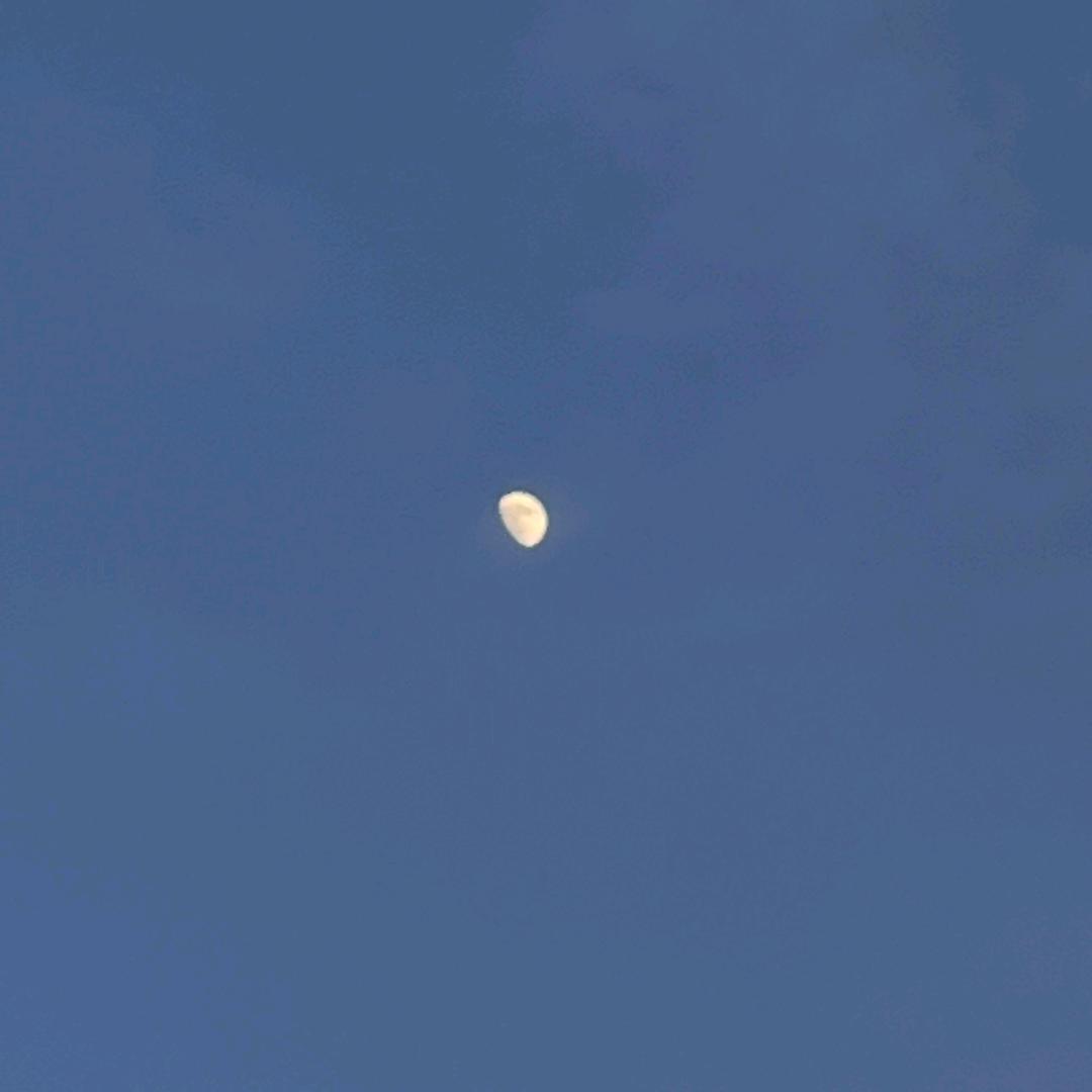 COCO王子
