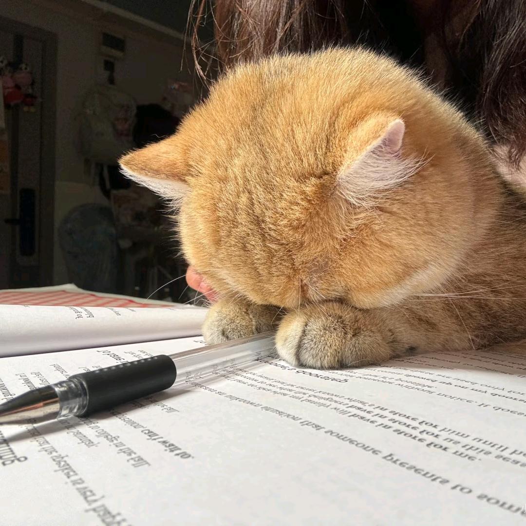 解忧紮柒