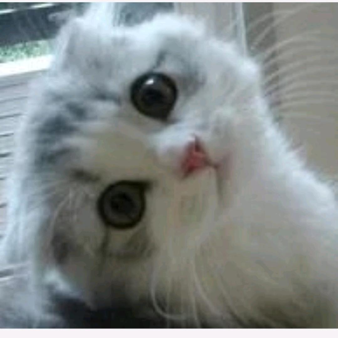 相亲相爱一家人@