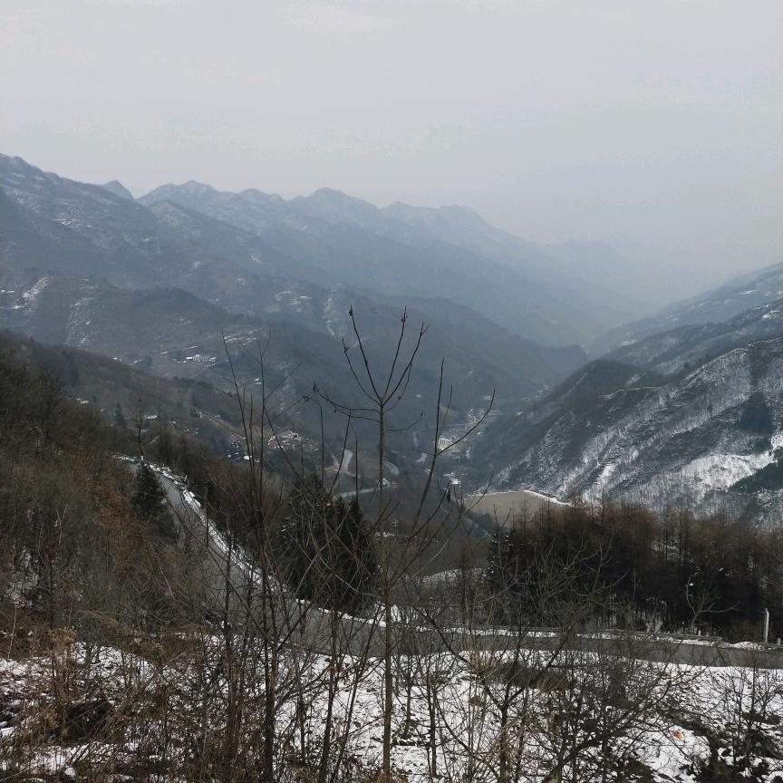 有梅无雪不精神……